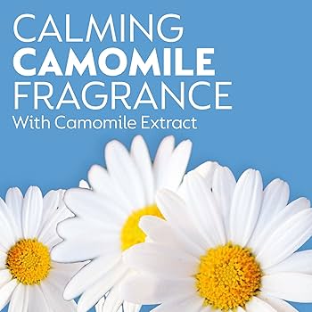 Dettol Antibacterial Liquid Handwash Camomile 250ml